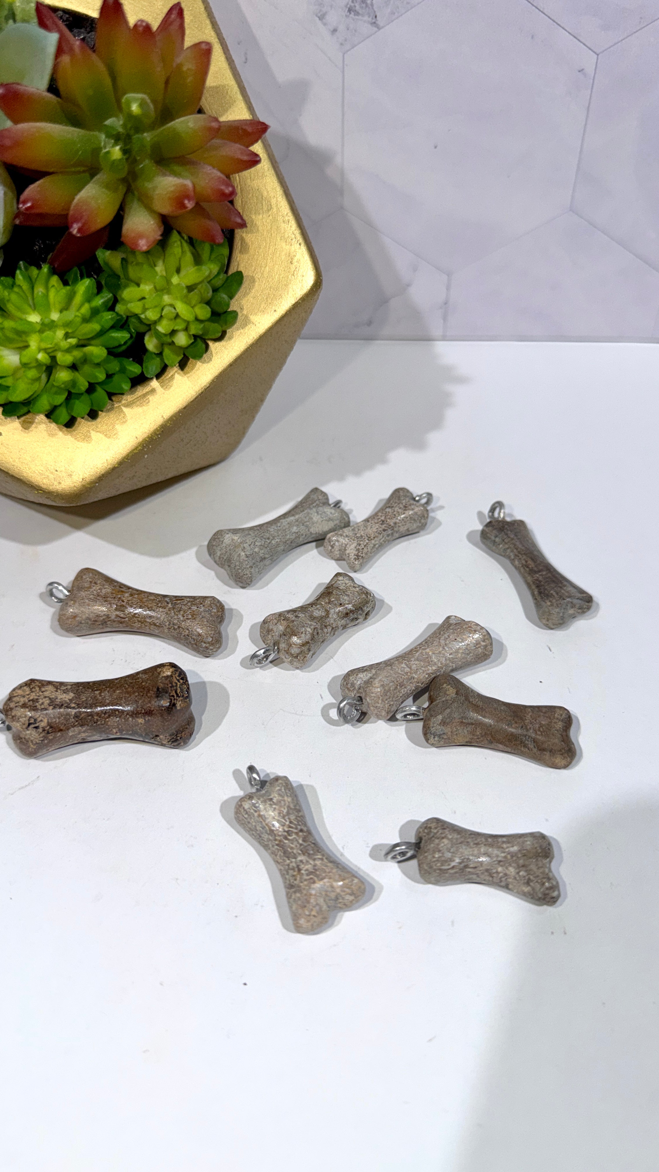Genuine Dinosaur Bone Pendant "Atlasaurus imelakai"
