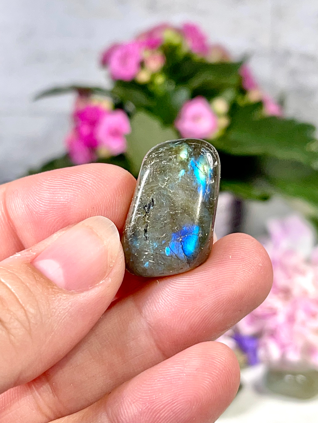 Labradorite Tumble | Third Eye Crystals