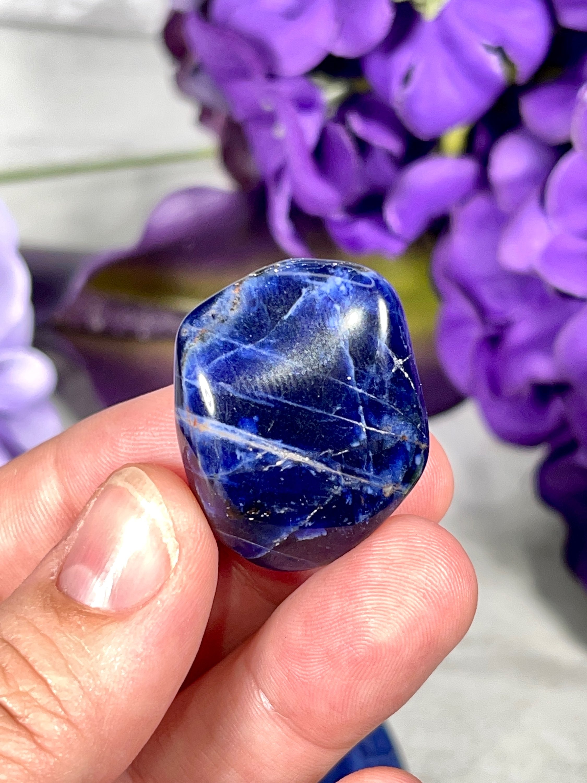 Sodalite Tumbles | Throat Chakra