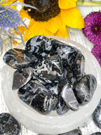 Indigo Gabbro Tumble | Mystic Merlinite