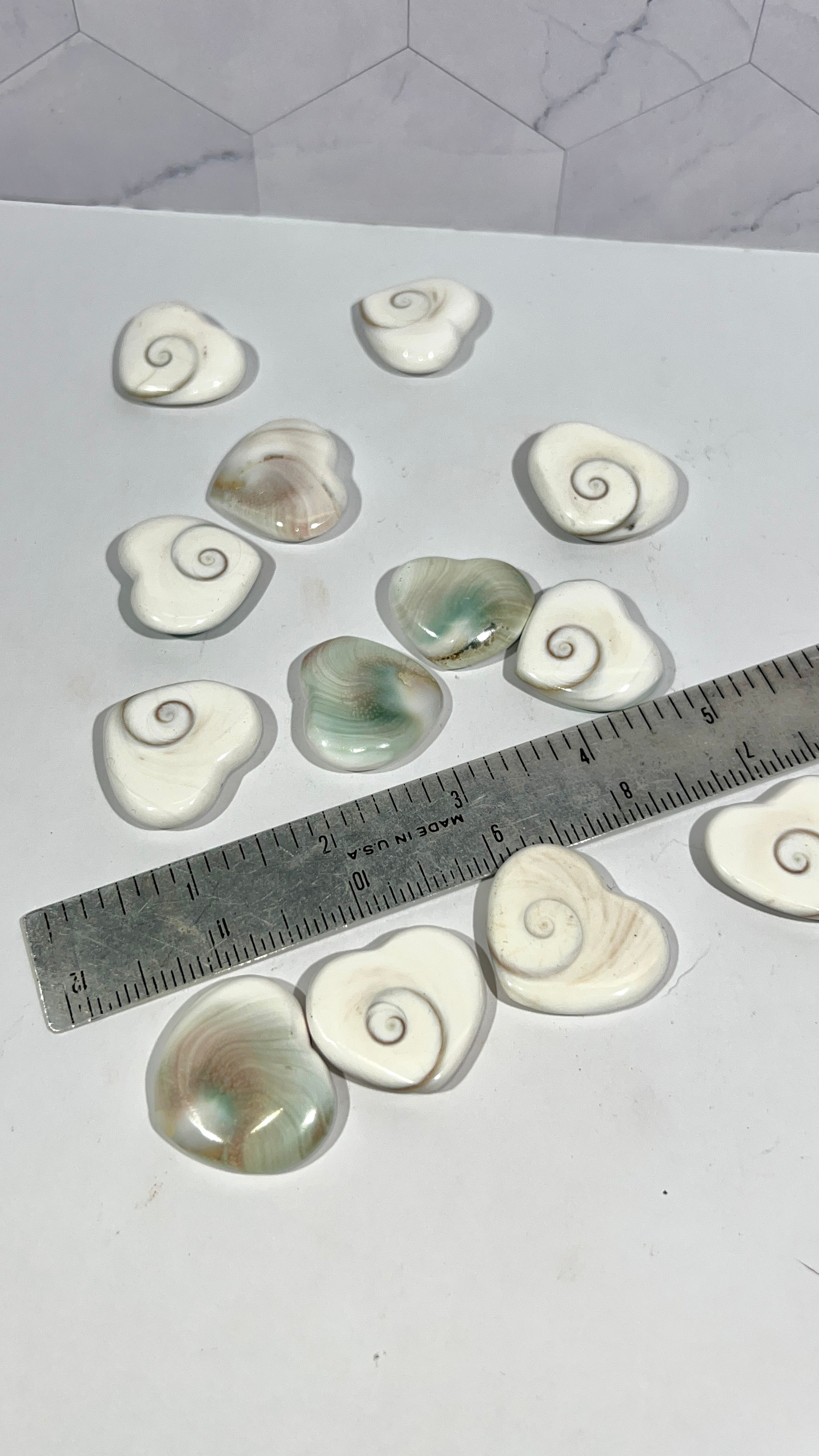 Shiva Eye Shell Heart
