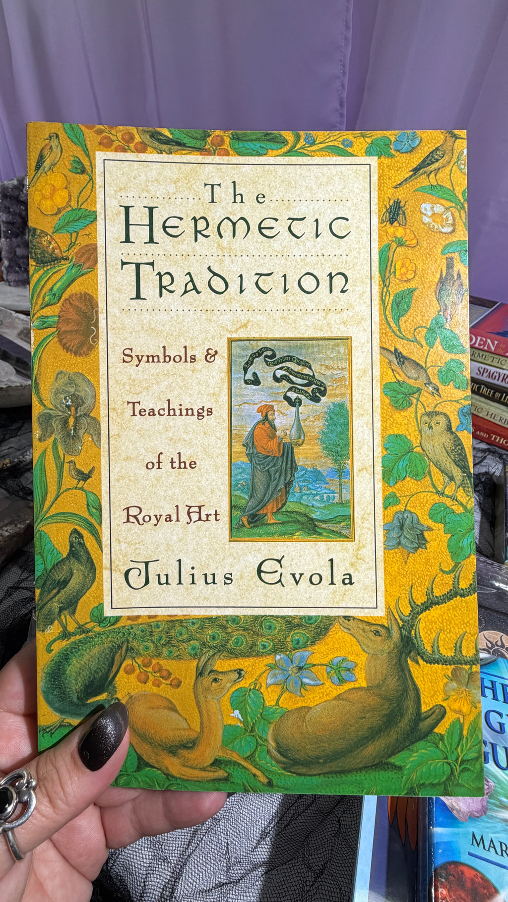 Hermetic Tradition byJulius Evola