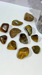 Nellite Tumble