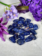 Sodalite Tumbles | Throat Chakra