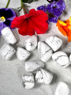 Howlite Tumbles | Tumbles for Anti-Anxiety, Sleep, Peace