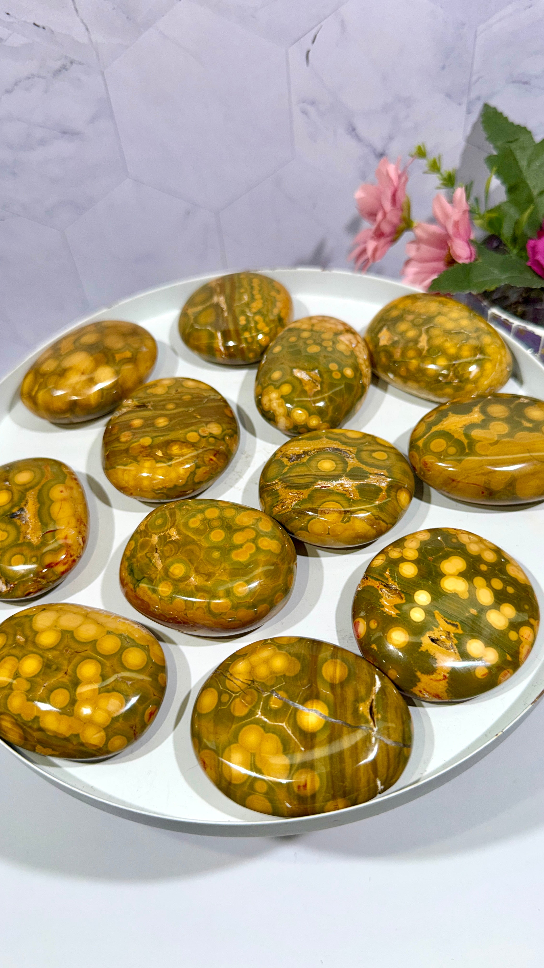 Kabamby Ocean Jasper Palm Stone
