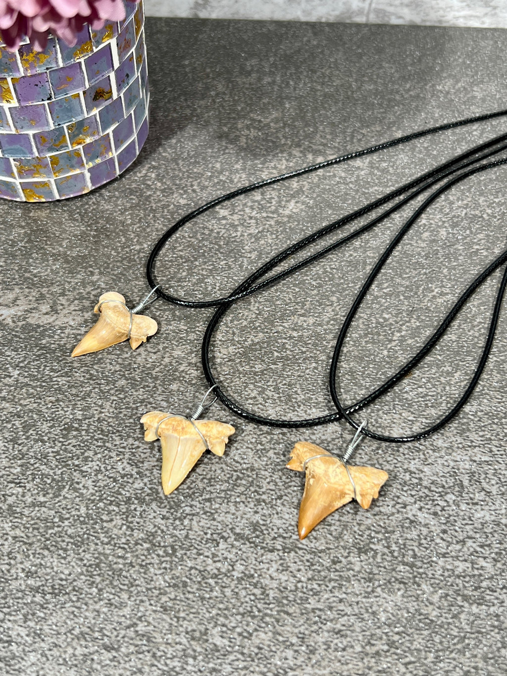 Sharks Tooth Fossil Necklace