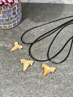Sharks Tooth Fossil Necklace