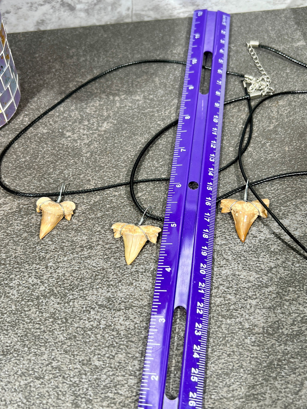 Sharks Tooth Fossil Necklace