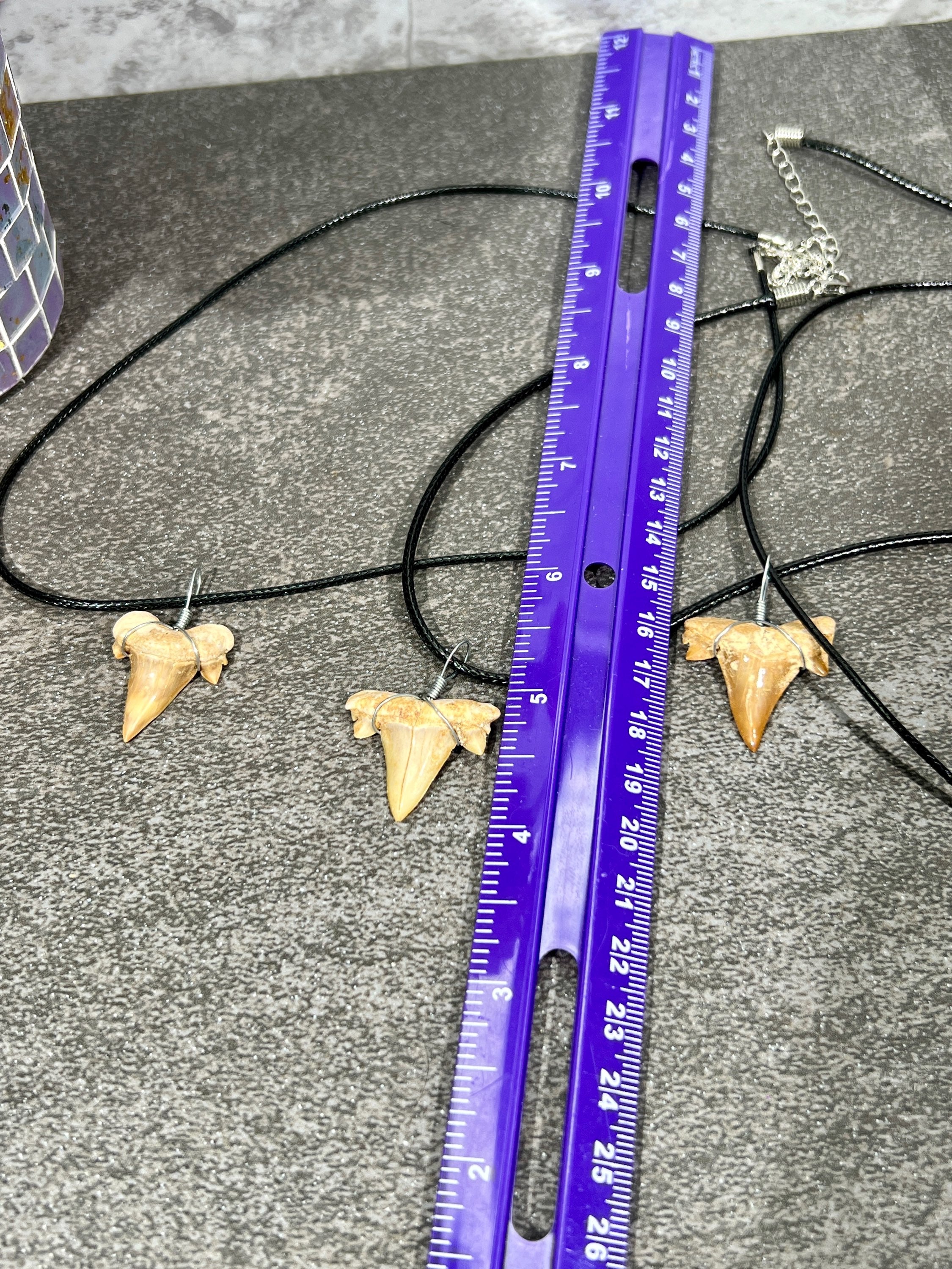 Sharks Tooth Fossil Necklace