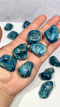 Blue Apatite Tumble
