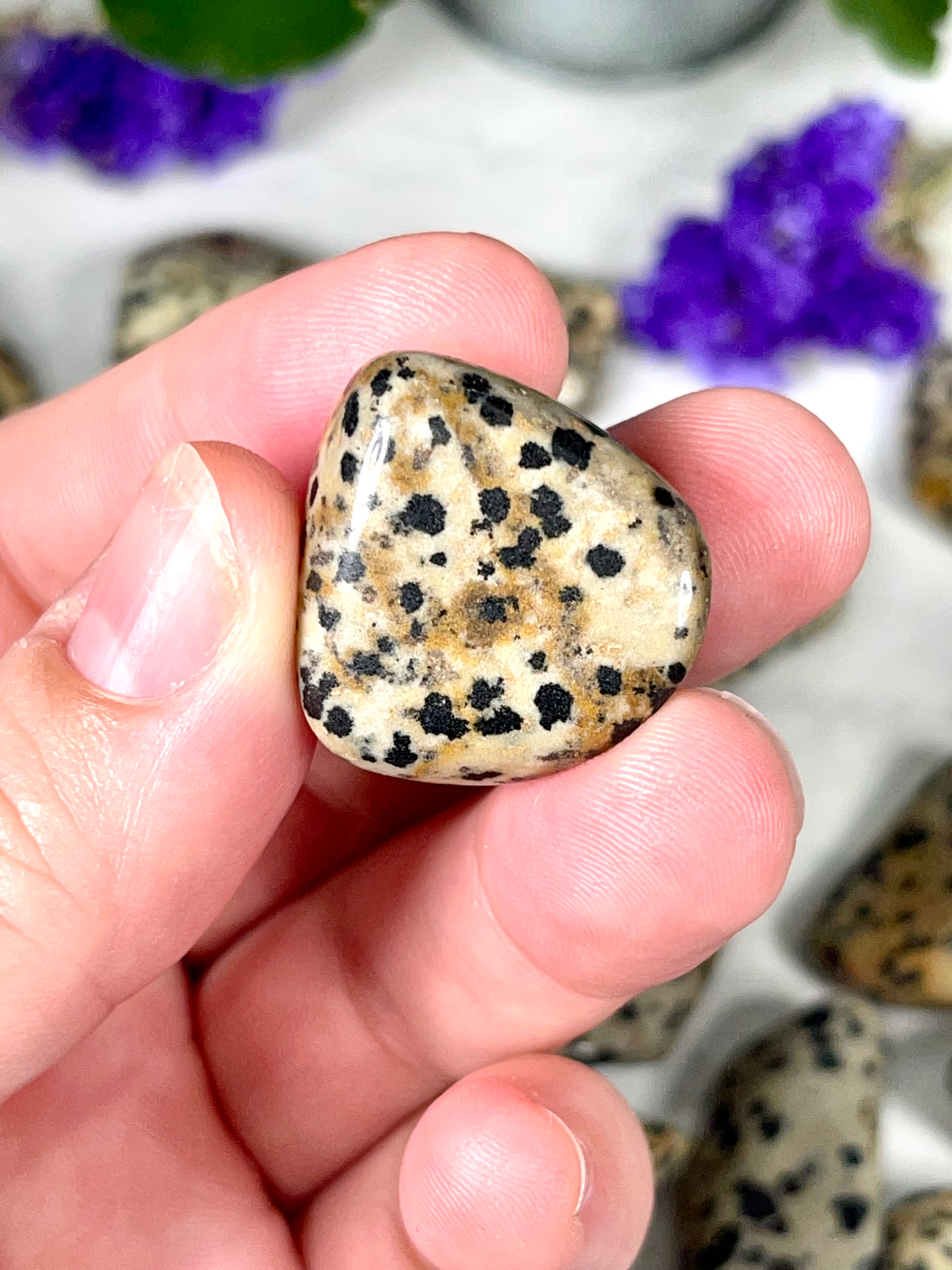 Dalmatian Jasper Tumble | Stone for Dog Lovers | Spotted Jasper Crystal