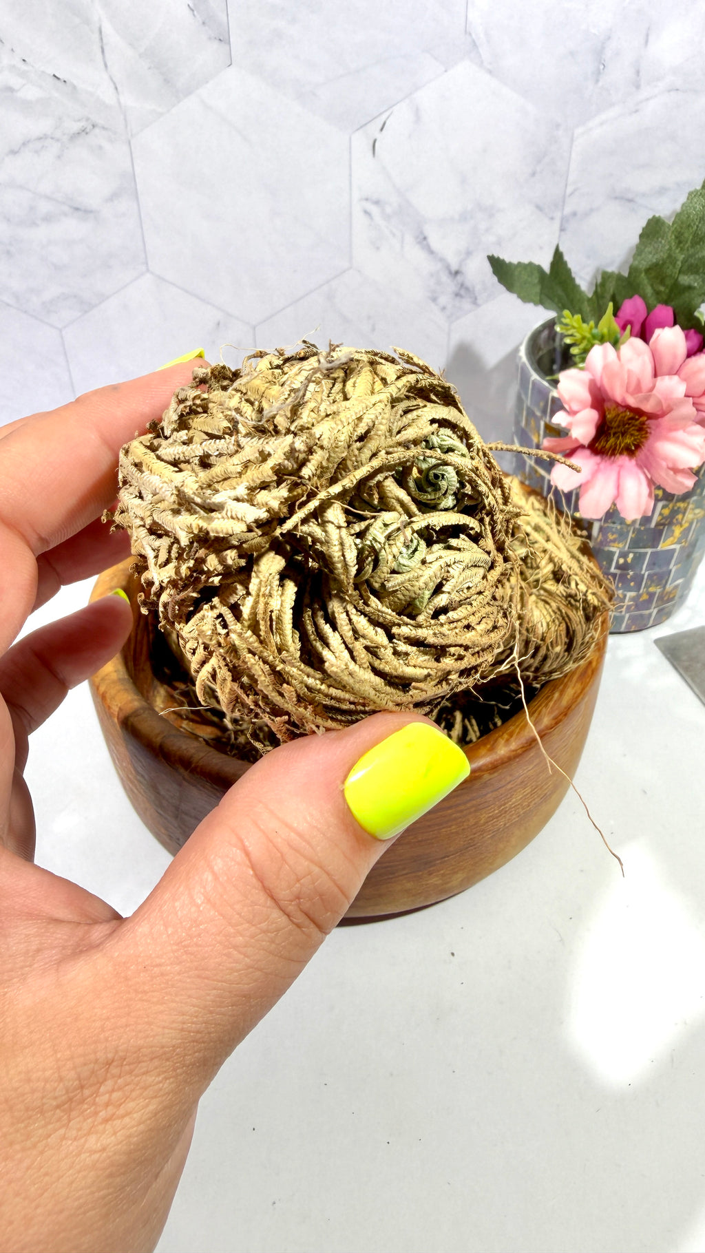 Rose of Jericho