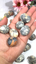 Maligano Jasper Tumble