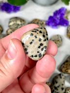Dalmatian Jasper Tumble | Stone for Dog Lovers | Spotted Jasper Crystal