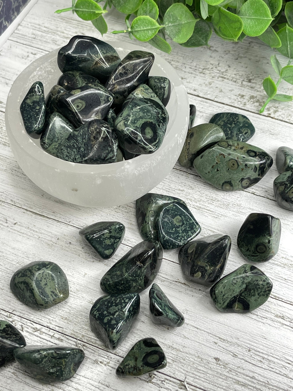 Kambaba Jasper Tumble
