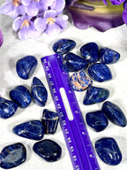 Sodalite Tumbles | Throat Chakra