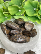 Bronzite Tumble