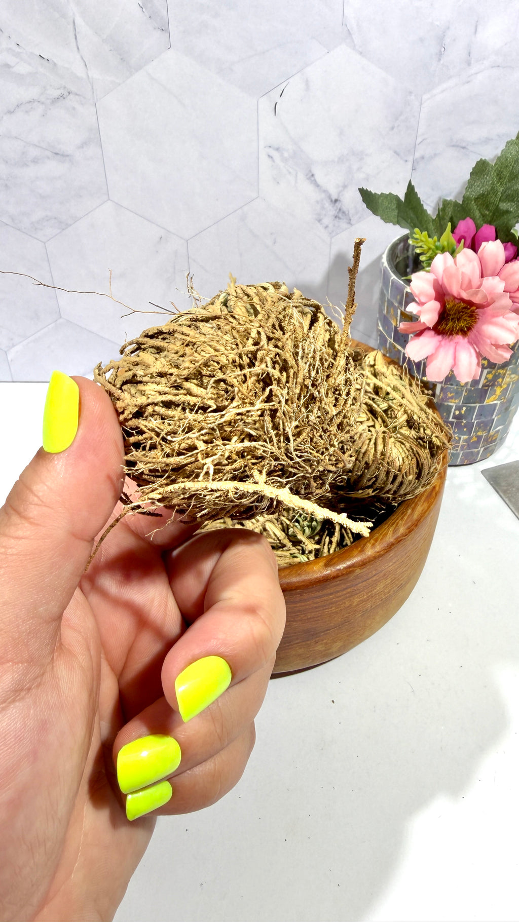 Rose of Jericho