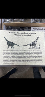 Genuine Dinosaur Bone Pendant "Atlasaurus imelakai"