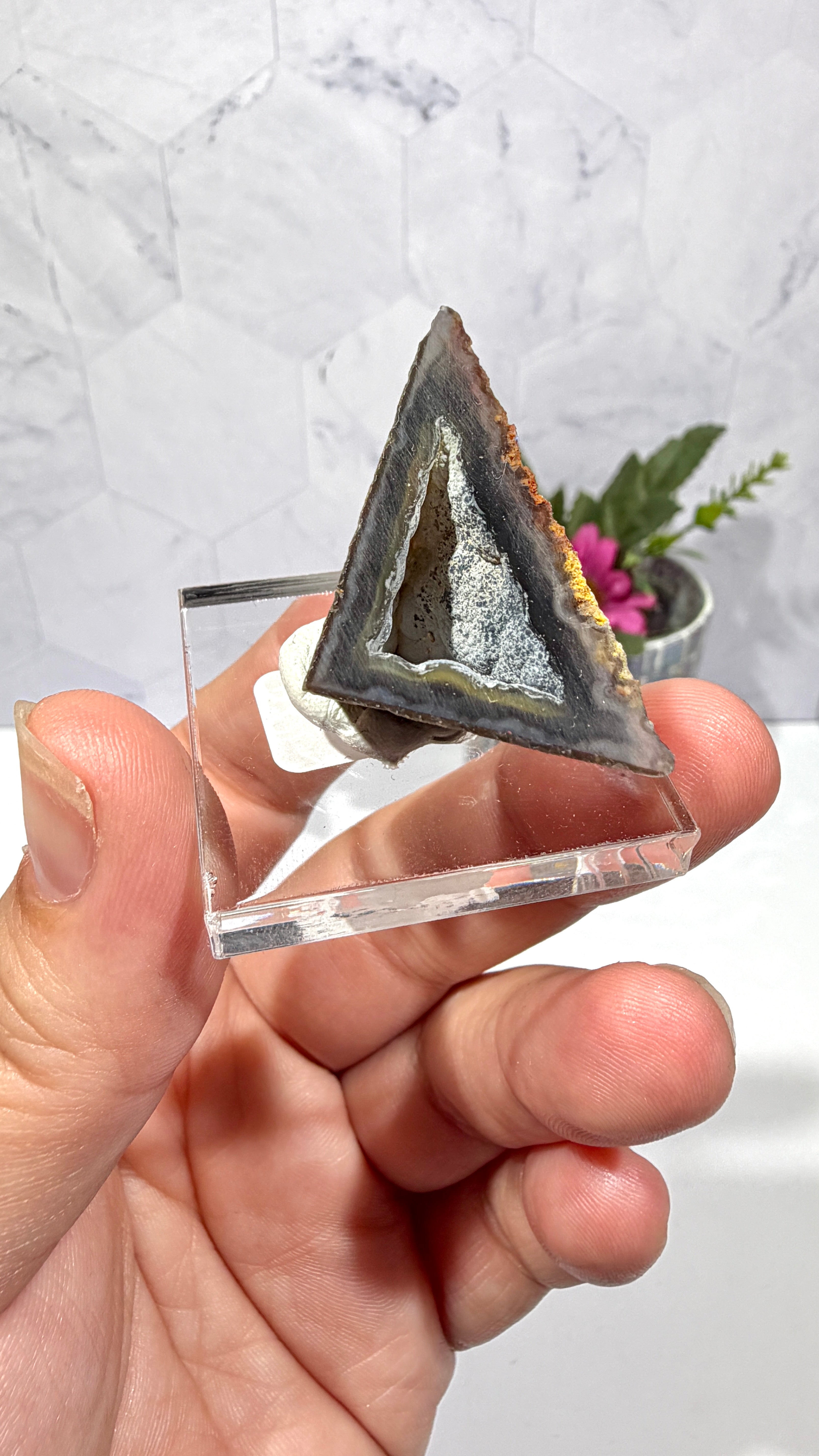 Polygonal Agate