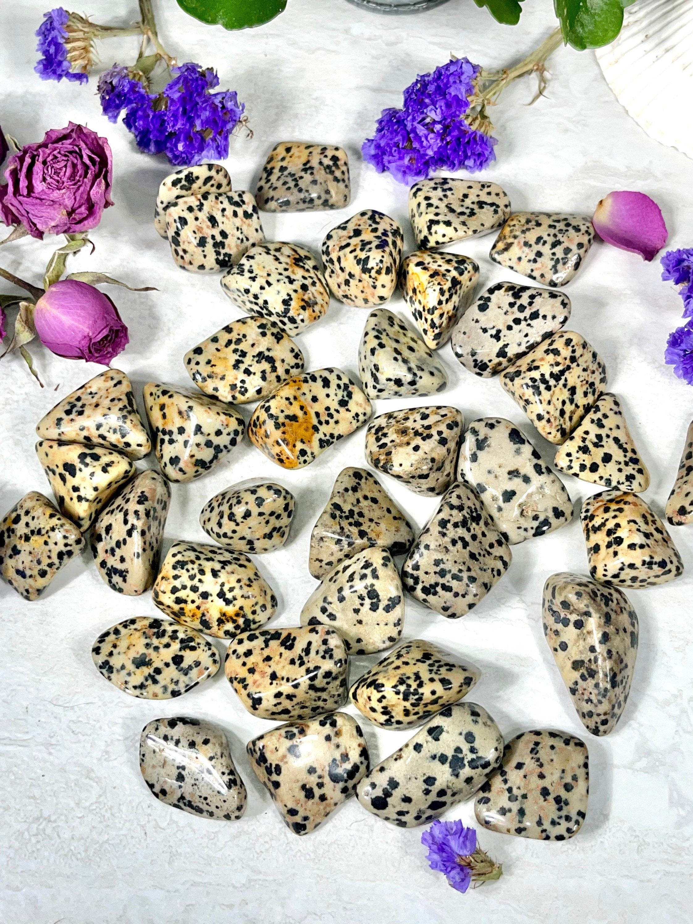 Dalmatian Jasper Tumble | Stone for Dog Lovers | Spotted Jasper Crystal