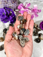 Dravite Brown Tourmaline