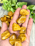 Yellow Jasper Tumble