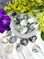 Tree Agate Tumble