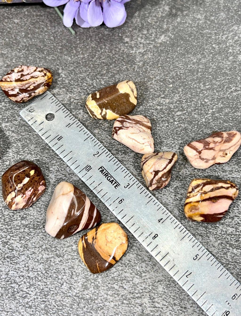 Zebra Jasper Tumble