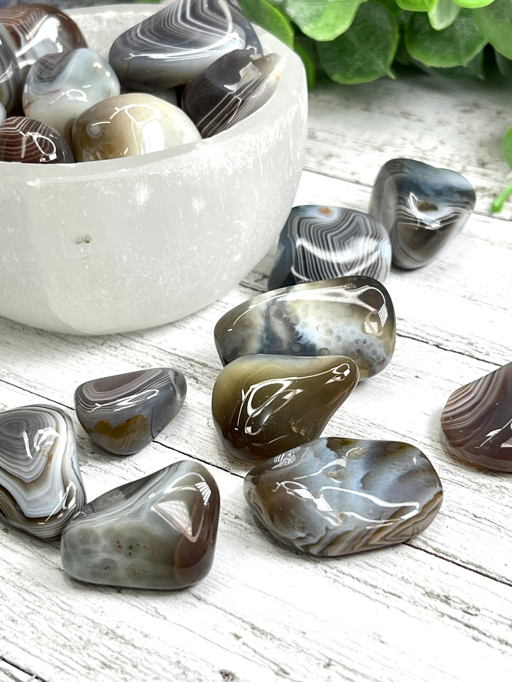 Botswana Agate Tumble