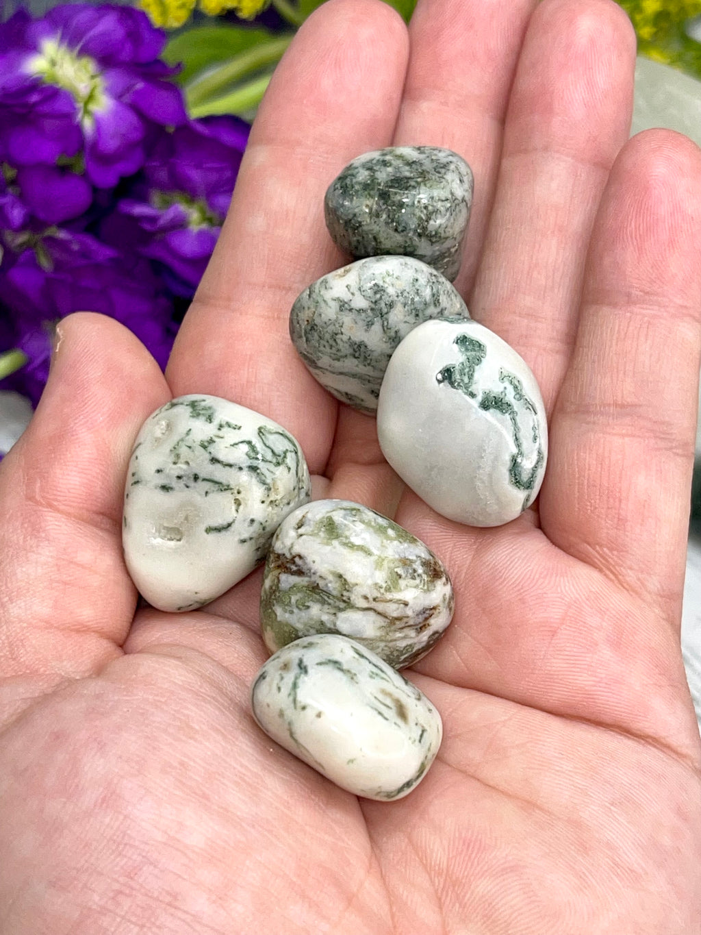 Tree Agate Tumble