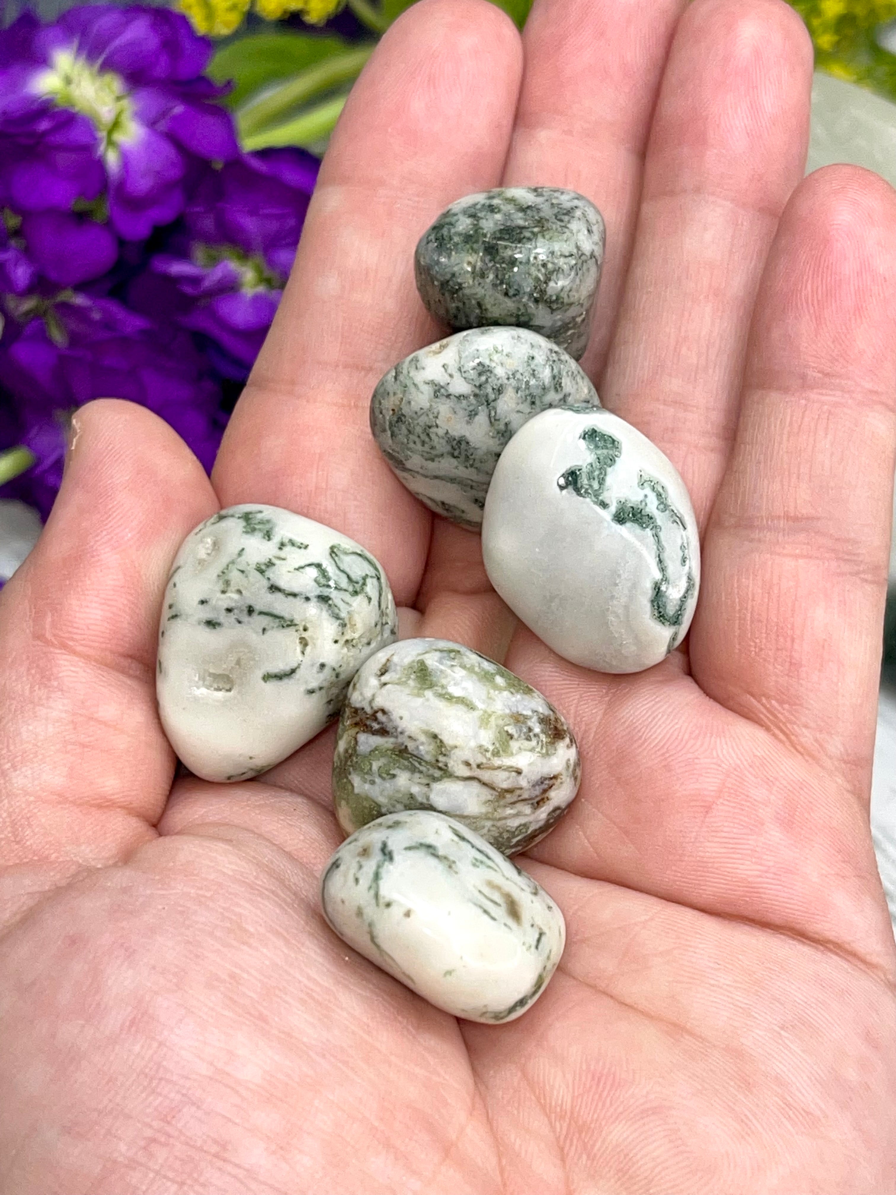 Tree Agate Tumble