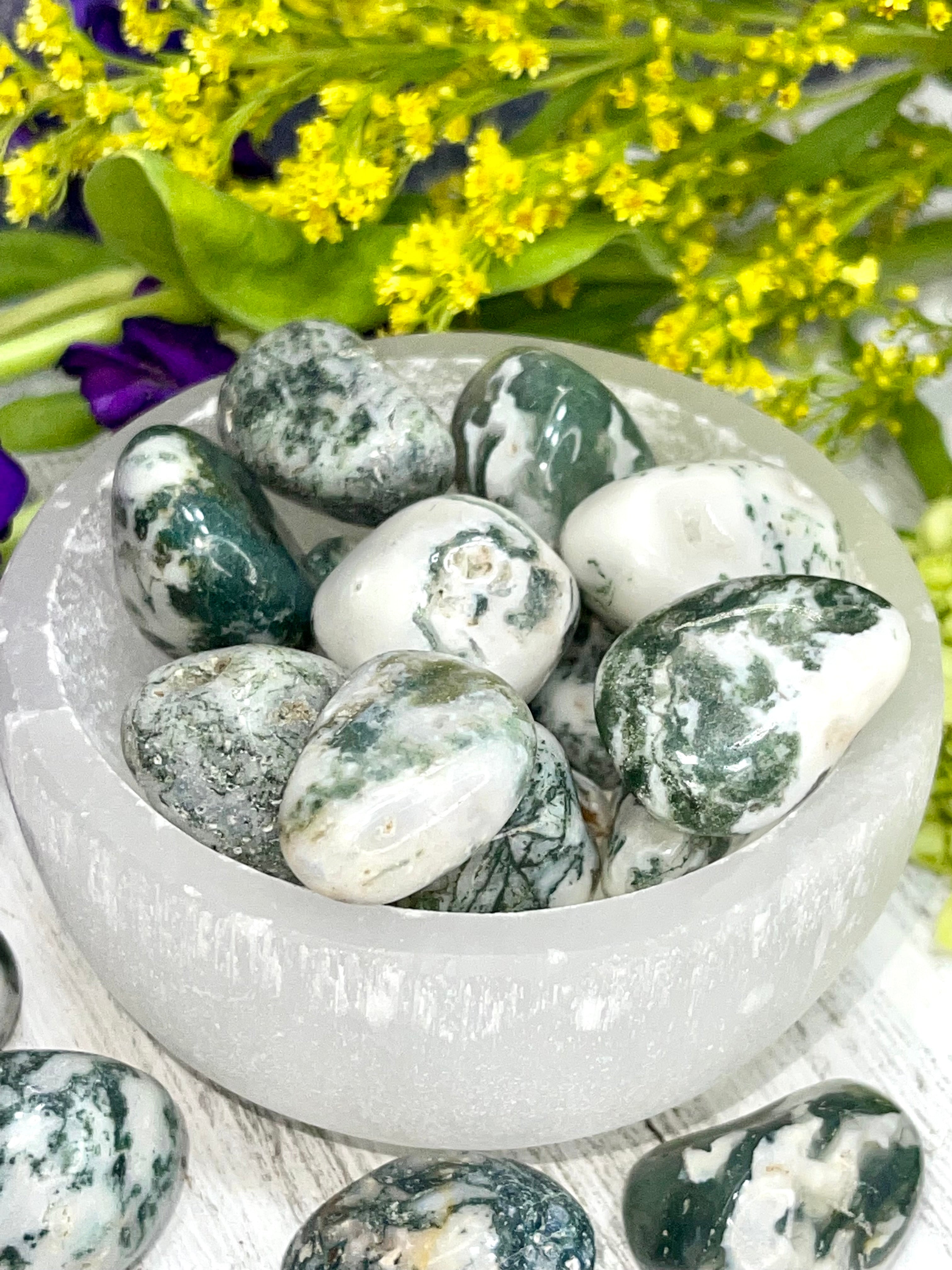 Tree Agate Tumble