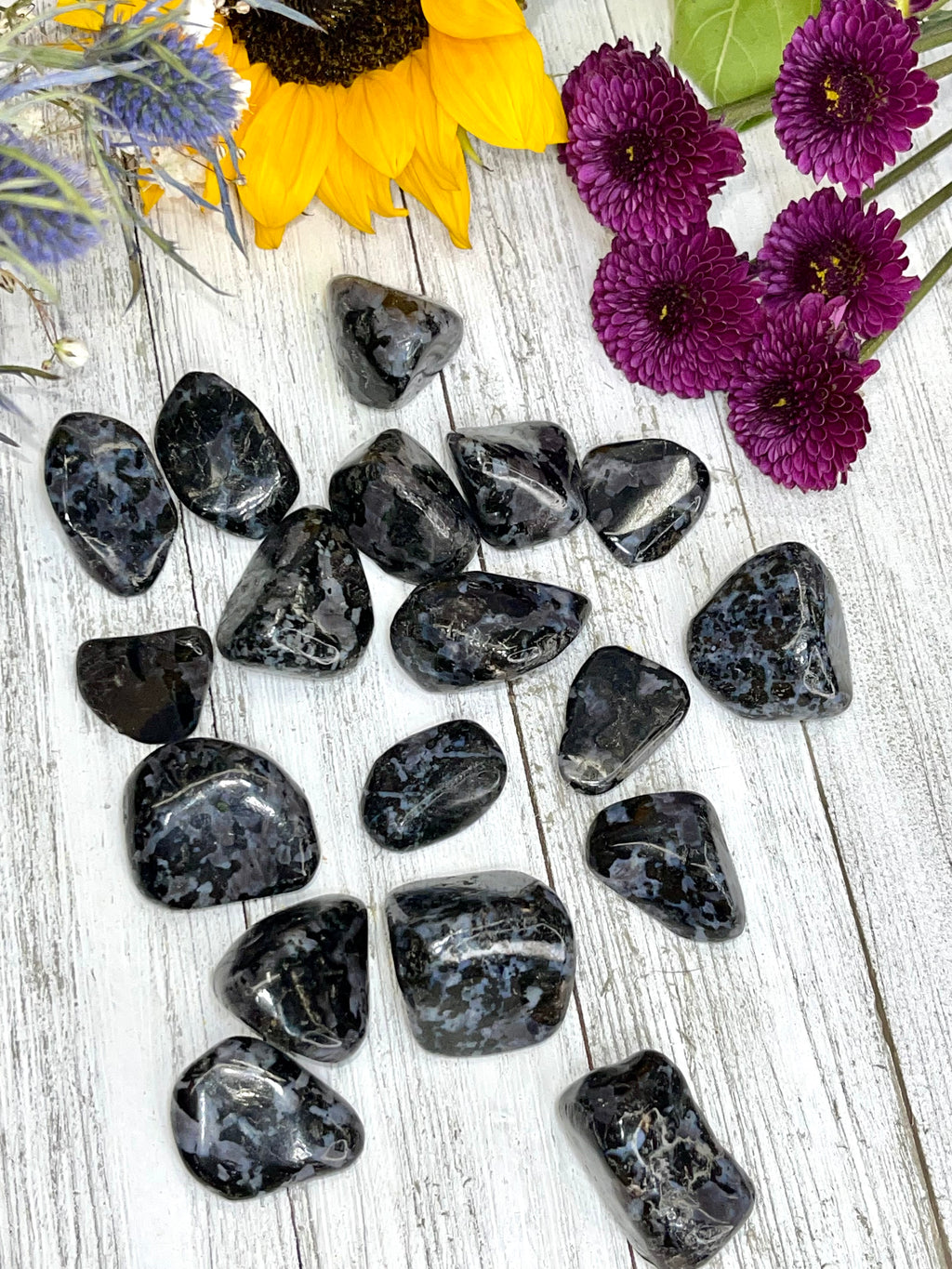 Indigo Gabbro Tumble | Mystic Merlinite