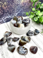 Botswana Agate Tumble
