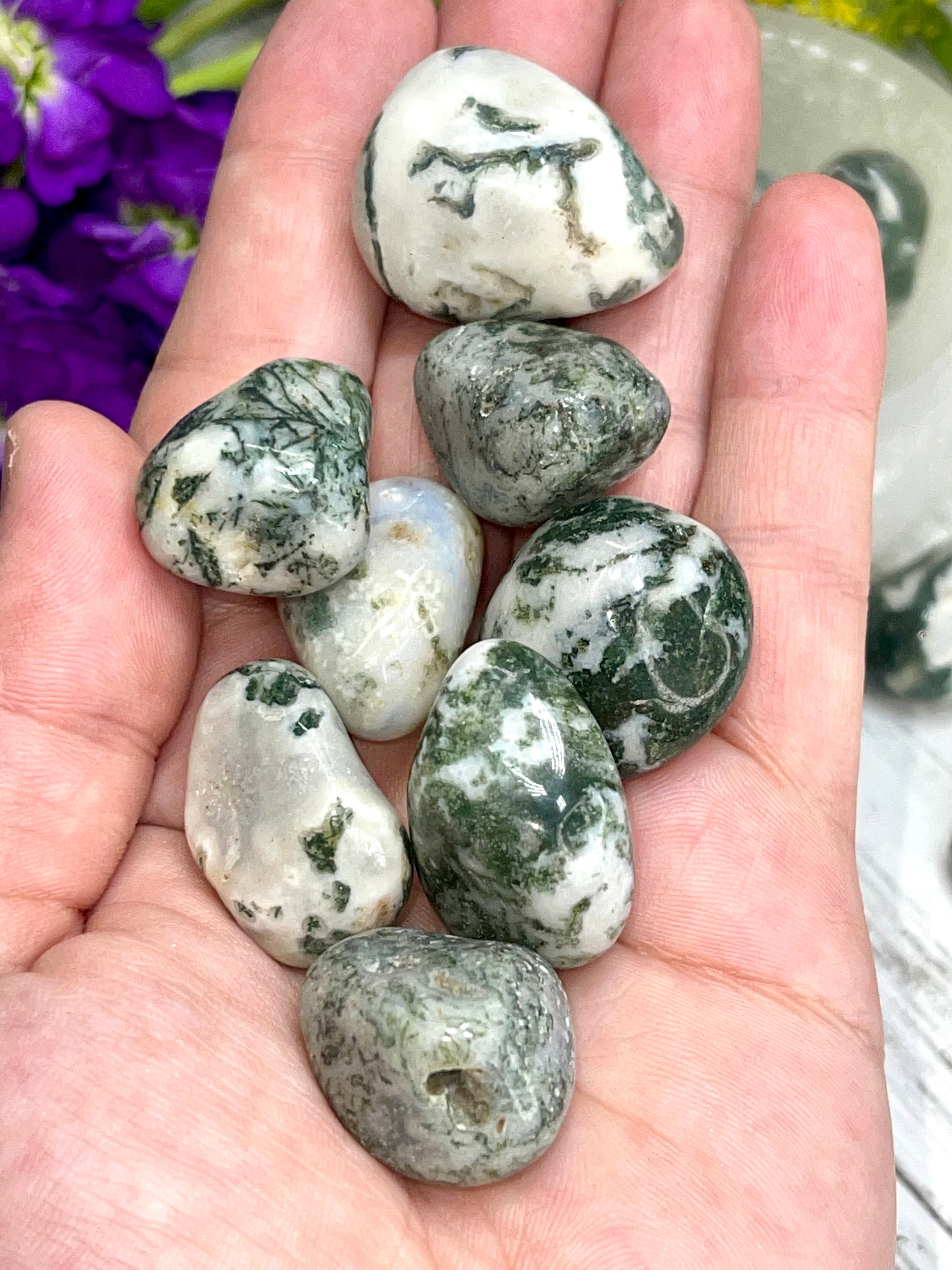 Tree Agate Tumble