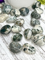 Tree Agate Tumble