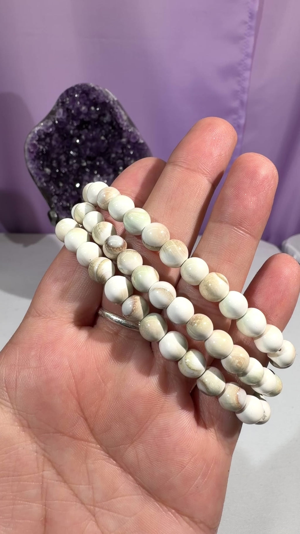 7mm Shiva Eye Shell Bracelet