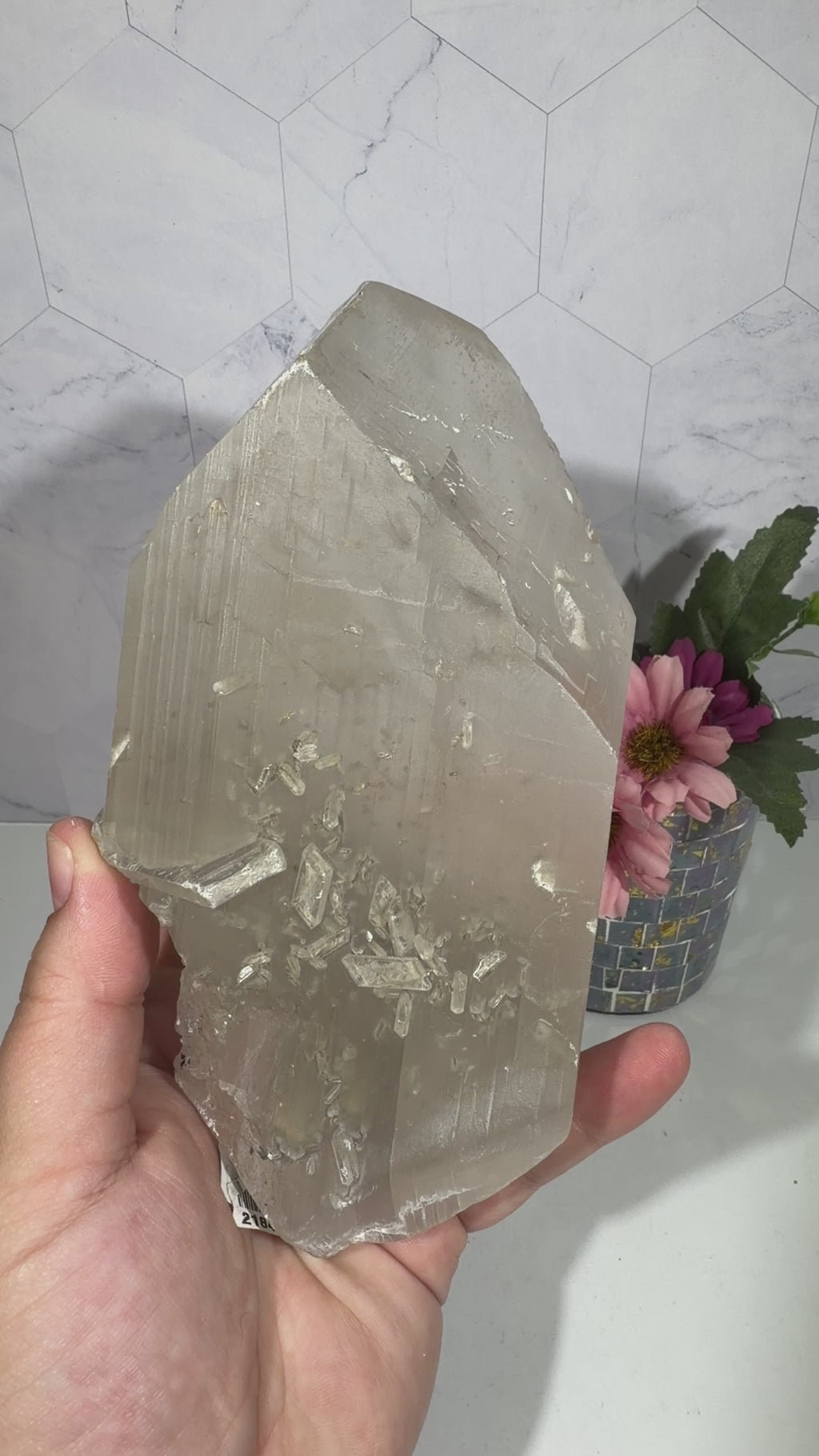 La Platosa Selenite
