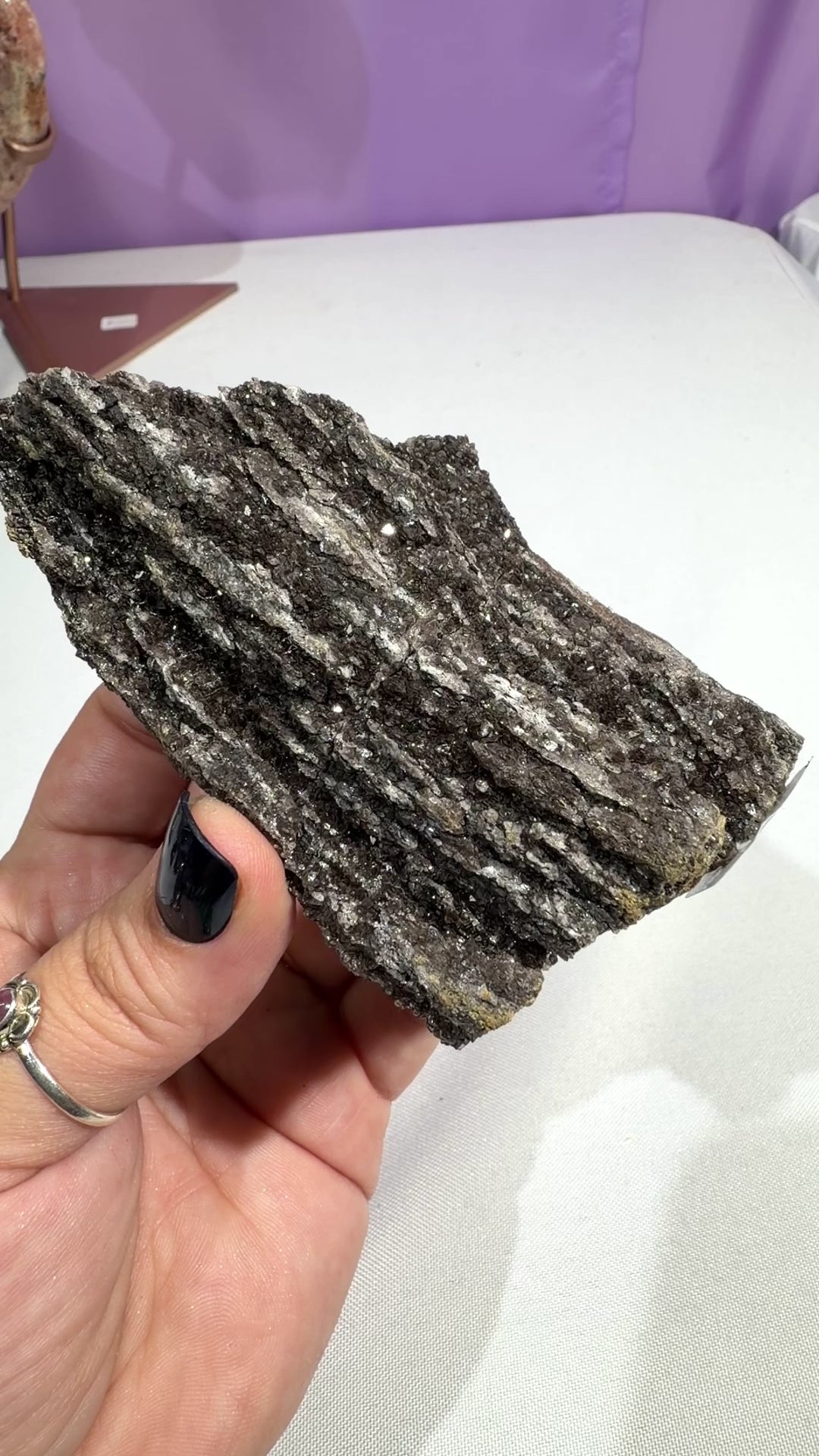 Arizona Permineralized Petrified Wood