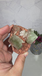 Green Apophyllite on Heulendite A Grade