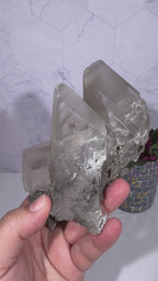 La Platosa Selenite